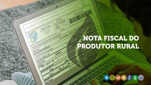 Novo modelo de emissão de nota fiscal será exigido a partir de fevereiro de 2025 e é um marco para o agronegócio brasileiro. (Pesquisa Internet / reprodução