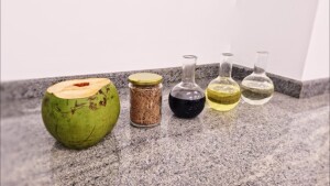Alternativa sustentável reduz resíduos e fortalece a economia circular. Em Aracaju, por exemplo, ele contribui para dar nova utilização às 190 toneladas de resíduos de coco verde descartadas por semana na cidade. (Foto: UNIT e ITP)