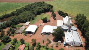 Grupo GoGenetic, Fazenda Tropical e Syncbio demonstram que o manejo adequado do solo foi fundamental para mitigar danos do fogo. (Divulgação)