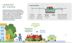 Jardins de chuva contribuem para minimizar inundações, além de remover poluentes da água e do ar. / Imagem: Fundação Grupo Boticário.