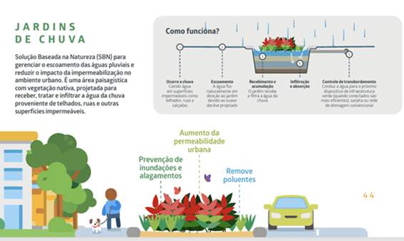 Jardins de chuva contribuem para minimizar inundações, além de remover poluentes da água e do ar. / Imagem: Fundação Grupo Boticário.