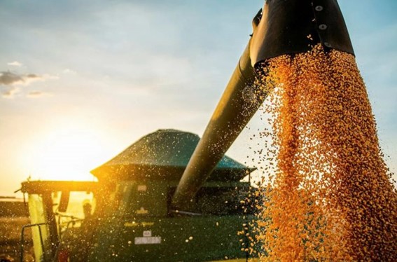 A agropecuária na Bahia acumulou ganhos nos últimos anos e em 2025 não deve ser diferente. De acordo com relatório da Secretaria de Agricultura (Seagri) divulgado nesta semana, o Valor Bruto da Produção Agropecuária da Bahia em 2024 foi de R$55,4 bilhões. Nos últimos dez anos analisados (2015 a 2024) o crescimento foi de 25,6%. O maior ganho do período foi da soja, que cresceu 59%, se tornando o principal produto da agropecuária baiana. Só no ano passado, o grão registrou crescimento de 8% em relação ao ano anterior. Ainda em relação a 2024, os principais aumentos ocorreram nas lavouras do cacau (168%), da laranja (83%) e do café (62%). Conforme o panorama da Seagri, a expansão na área plantada da produção agrícola, aliado às oscilações positivas de preços contribuíram para o crescimento do setor que representa aproximadamente 25% do Produto Interno Bruto (PIB) do Estado. Para a safra 2024/25, estima-se que deverão ser cultivados 3,9 milhões de hectares com lavouras de grãos, o que representa um aumento de 4,5% em relação à área cultivada na safra 2023/24. As estimativas para safra atual apontam para a produção de 13,7 milhões de toneladas de grãos e fibras, sendo que esta produção dividida em 60,8% de soja, 18,1% de milho, 13,4% de algodão, 4,7% de sorgo, 2,4% de feijão, 0,7% de mamona e 0,3% de trigo, produtos destinados ao consumo das famílias agrícolas, consumo das pequenas criações, abastecimento do setor granjeiro e pecuário, abastecimento do mercado atacadista e destinado ao mercado internacional. As exportações também apresentaram grande avanço nos últimos cinco anos. Enquanto em 2020 o estado exportou apenas US$ 4,05 bilhões, em 2024 esse número foi de US$ 6,71, aumento de 65,4%. A soja, que é o principal produto exportador da Bahia, nesse mesmo período, teve crescimento de 73,5%. Destaques para as safras de café e cacau Em relação ao cacau, a Bahia recuperou a liderança em 2024, ultrapassando o Pará como o maior produtor brasileiro. (Divulgação) Entre os produtos que devem ser destaques na atual safra estão o café e o cacau. A Bahia é o quarto maior produtor de café do Brasil e a previsão é de que a produção aumente 11,3% em 2025, atingindo 3,4 milhões de sacas, segundo a Companhia Nacional de Abastecimento (Conab). Vale lembrar que a bebida produzida no estado se destaca entre as melhores do país em qualidade, e vem se consolidando como fornecedora de cafés especiais, com ótimos resultados nas competições internacionais. Já em relação ao cacau, a Bahia recuperou a liderança em 2024, ultrapassando o Pará como o maior produtor. Em 2023, o estado produziu 139.011 toneladas de amêndoas de cacau, segundo dados do Instituto Brasileiro de Geografia e Estatística (IBGE). A produção sofreu uma importante mudança em sua matriz. A região oeste da Bahia tem se destacado como uma nova fronteira para a produção de cacau, com potencial para quase duplicar a safra nacional até 2030, tirando do sul do estado o protagonismo de outros tempos. A produção de frutas tropicais e temperadas também é responsável por uma fatia significativa do agro baiano. Em 2023, o estado registrou um recorde de produção e exportação de frutas, gerando mais de R$ 5,7 bilhões. O Vale do São Francisco contribui para o resultado, já que é hoje o mais importante centro frutífero do Brasil, com destaque para a produção de manga e uva. A Bahia é o maior produtor de manga do país, e, em 2023, foi a fruta mais vendida no exterior. A região também se destaca como a única do mundo capaz de produzir cinco safras de uva em dois anos, devido às suas características naturais como luminosidade, umidade e disponibilidade de água. Além disso, possui variedades de uvas com qualidades comprovadas para a produção de vinho, colocando-se como o segundo pólo vinícola do Brasil, com grande potencial para crescimento. Pecuária Com um rebanho de 13,3 milhões de cabeças, o que corresponde a 37,6% do Nordeste, a Bahia ocupa o sétimo lugar no ranking nacional da bovinucultura. O estado é certificado como zona livre de febre aftosa, sem vacinação, o que permite acessibilidade a importantes mercados internos e externos. Com a maior costa marítima do país, um litoral de aproximadamente 1,2 mil quilômetros de extensão, além de possuir 60,0 bilhões de m3 de água doce, a Bahia tem um amplo potencial para se consolidar como grande produtor de pescado e avançar tanto na atividade de pesca como na aquicultura. A Seagri por meio da Bahia Pesca, apoia o crescimento sustentável dessas atividades, desenvolvendo um conjunto de ações como a capacitação de mão de obra, construção de terminais pesqueiros, e aquisição, renovação e distribuição de embarcações. Desafios O relatório da Seagri aponta que a sustentabilidade ambiental, a infraestrutura de transporte e logística, e a busca por práticas mais sustentáveis de produção, são desafios a serem enfrentados no setor agropecuário. O documento destaca que as mudanças climáticas também representam um obstáculo significativo para o agronegócio local, com eventos climáticos extremos como secas e enchentes afetando a produção. “A Bahia tem um grande potencial de crescimento, com oportunidades em diversas áreas, como a produção de alimentos orgânicos, a agroindústria e o turismo rural. Com isso, o agronegócio baiano busca se modernizar e se adaptar às demandas do mercado nacional e internacional”, aponta o relatório. Fonte: ADAB