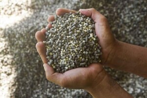 Tecnologias com matéria orgânica na composição liberam nutrientes durante todo o ciclo da cultura. (Fertilizante organomineral / reprodução Internet)