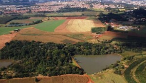 Estado havia convocado comunidade científica com o objetivo de vender 35 áreas listadas no Diário Oficial. (Foto: Fazenda Santa Elisa /Arquivo IAC/CqKfm)