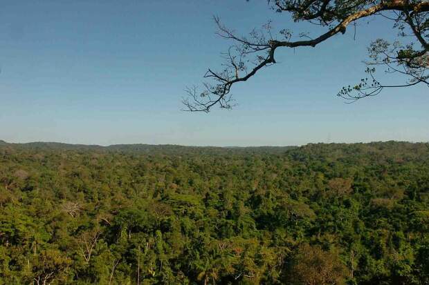 A taxa média anual de desmatamento em 36 anos foi de 11.152 Km2 na região amazônica, aponta estudo publicado na Forest Ecology and Management por pesquisadores brasileiros do IAG, IFUSP, EPUSP, Unicamp, INPE e IPAM. (Foto: Cecilia Bastos/USP Imagens)