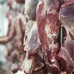 Líder mundial nas exportações de carne bovina, o Brasil prospecta novos mercados internacionais, como Japão e Vietnã. Especialista em comércio exterior avalia que as tarifas impostas pelos americanos não devem impactar de forma significativa o desempenho das exportações de carne bovina do país, que tendem a seguir em alta. (Divulgação).