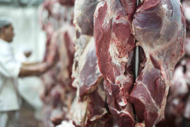 Líder mundial nas exportações de carne bovina, o Brasil prospecta novos mercados internacionais, como Japão e Vietnã. Especialista em comércio exterior avalia que as tarifas impostas pelos americanos não devem impactar de forma significativa o desempenho das exportações de carne bovina do país, que tendem a seguir em alta. (Divulgação).