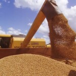 Com safras em crescimento e demanda internacional aquecida, país se consolida como fornecedor estratégico, mesmo em cenário de preços pressionados. (Foto: Ministério da Agricultura, Pecuária e Abastecimento)