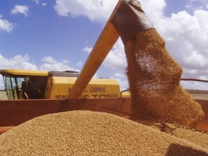 Com safras em crescimento e demanda internacional aquecida, país se consolida como fornecedor estratégico, mesmo em cenário de preços pressionados. (Foto: Ministério da Agricultura, Pecuária e Abastecimento)