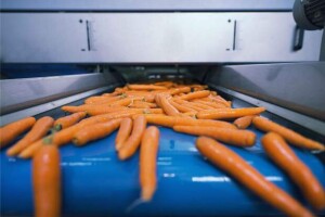 Indústria 4.0 aposta no uso de soluções cada vez mais focadas no diagnóstico precoce de falhas na esteira de produção. É o caso da Hikrobot, marca que dispõe de sensores, sistemas de visão e leitores de código. (Freepik)