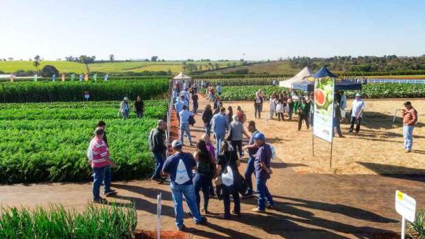 Open Field Day, edição 2024. Divulgação / Agristar)