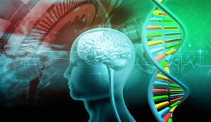 Com base na tecnologia de sequenciamento genético de nova geração, o painel analisa múltiplos genes associados a uma ampla gama de doenças e condições do sistema nervoso, proporcionando resultados rápidos e precisos, auxiliando no planejamento familiar. (Imagem: Exploderasi / divulgação SENSO)