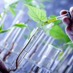 "O DNA do solo está acessível e mudando o jeito de plantar no Brasil", afirma Eduardo Balsanelli, diretor de Pesquisa e Desenvolvimento da GoGenetic. (Imagem: pesquisa Google)