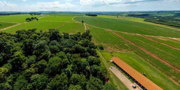 O encontro é voltado a estudantes, profissionais do setor e interessados em modelos produtivos sustentáveis. A programação inclui palestras e atividades práticas sobre sistemas ILP e ILPF, braquiárias e ESG no campo. (Foto: Vista aérea da Escola Técnica Agropecuária Engenheiro Salvador Arena. Crédito: Arquivo Institucional).