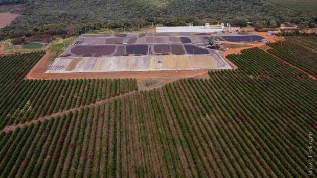  “O biochar é um caminho viável para uma agricultura mais limpa, com benefícios ambientais mensuráveis e retorno direto na qualidade do solo e da produção”. (Divulgação).