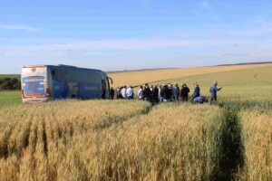Evento promovido pela Abitrigo reuniu representantes de moinhos de todo o país para conhecer a produção e reforçar a importância da região como nova fronteira agrícola. (Giro Abitrigo – Cerrado)