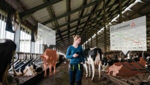 Com visão computacional, Nedap apresenta ferramenta que amplia o monitoramento de saúde dos rebanhos leiteiros. (Crédito: Nedap).