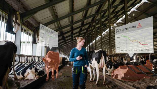 Com visão computacional, Nedap apresenta ferramenta que amplia o monitoramento de saúde dos rebanhos leiteiros. (Crédito: Nedap).