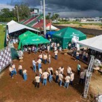 Evento em Jaguaré (ES), que reuniu mais de 1,2 mil produtores, proporcionou uma imersão em tendências e atualizações de mercado para as culturas de café conilon, cacau, pimenta do reino e banana. (Divulgação)
