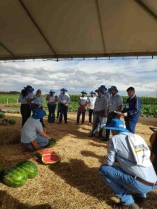 Foto: divulção - Agristar do Brasil