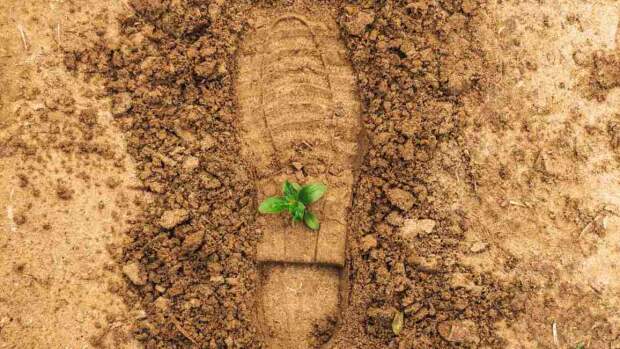 PL do Licenciamento Ambiental traz segurança jurídica para setor produtivo e de infraestrutura, explica advogada especialista. (Freepik