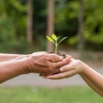 Idealizado pelo Instituto Destino Brasil em parceria com a WGA Carbon, projeto transforma dados de consumo em reflorestamento e engaja estudantes e famílias na neutralização do carbono. (Instituto Destino Brasil)