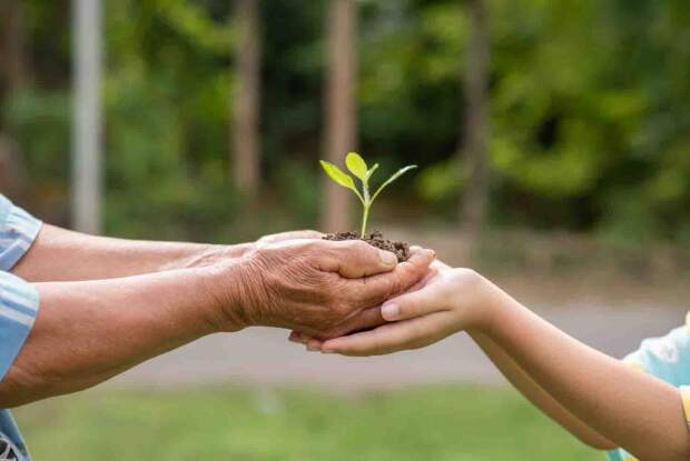 Idealizado pelo Instituto Destino Brasil em parceria com a WGA Carbon, projeto transforma dados de consumo em reflorestamento e engaja estudantes e famílias na neutralização do carbono. (Instituto Destino Brasil)