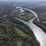 O projeto vai implantar uma fábrica de celulose de última geração, com capacidade anual de 3,5 milhões de toneladas de celulose kraft branqueada de fibra curta, apoiada por 400 mil hectares de eucalipto de manejo sustentável e geração de energia à base de biomassa. (Divulgação ARAUCO)