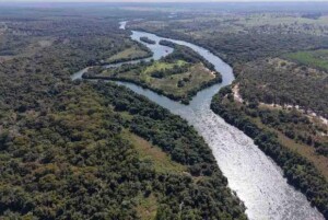 O projeto vai implantar uma fábrica de celulose de última geração, com capacidade anual de 3,5 milhões de toneladas de celulose kraft branqueada de fibra curta, apoiada por 400 mil hectares de eucalipto de manejo sustentável e geração de energia à base de biomassa. (Divulgação ARAUCO)