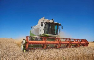 O volume representa um crescimento de 16,3% em relação a 2024, o equivalente a 47,7 milhões de toneladas. (Foto: banco de imagens/Gov)