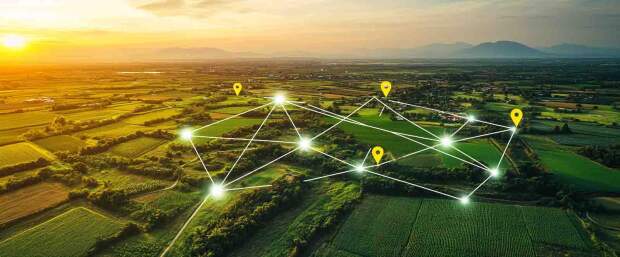 Grain Station, da agtech brasileira Vega Monitoramento, possui tecnologia inovadora capaz pode transformar a rastreabilidade e a performance de cadeias produtivas com base em dados geoespaciais, IA e sensoriamento remoto. Será apresentado no evento, que acontece 05 a 07 de agosto em São Paulo. (Divulgação Vega)