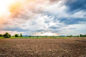 O Brasil tem cerca de 28 milhões de hectares de pastagens improdutivas que podem ser convertidas em lavouras de alta produtividade, especialmente em Mato Grosso, Goiás, Minas Gerais, Mato Grosso do Sul e Pará. (Divulgação /Freepik).