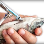Evento técnico-científico começa na próxima semana, em Campinas (SP), e terá arenas simultâneas com programação dedicada à proteína animal. (Foto: Pesquisa Google).
