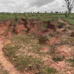 Pastagem degradada prejudica bolso, ambiente e imagem da pecuária. Prevenir é melhor e mais econômico que recuperar ou renovar. Atenção aos sinais e ajustes no manejo são fundamentais para evitar prejuízos. (Divulgação Soesp)