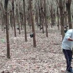 Articulação realizada pelo Sistema OCB/GO junto ao Governo de Goiás promoveu alteração, sancionada pelo governador Ronaldo Caiado, na cobrança de ICMS sobre cooperativa. (Divulgação