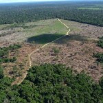 A despeito da nobre intenção da LGLA, e dos 21 anos de discussão para que finalmente fosse promulgada, determinados pontos da lei têm gerado bastante debate no que se refere a seus impactos e eficácia. (Área desmatada no Amazonas / Foto: Divulgação/Ibama)