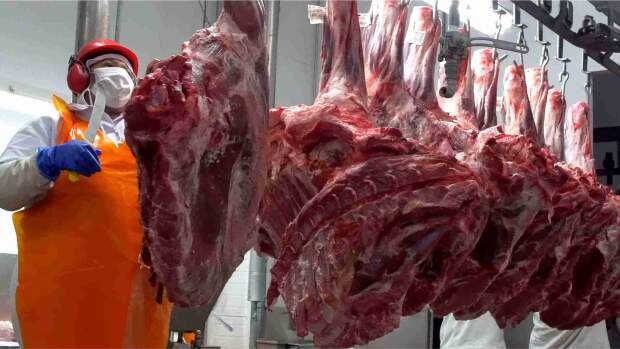 Após o período religioso,  o país do Oriente Médio voltou, no último dia 28, a importar e deve alavancar as vendas da multinacional que projeta ter em novembro, o melhor resultado de sua história. (Divulgação)