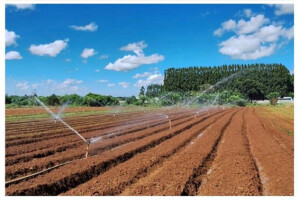 Os estudos foram iniciados em 2023 e concluídos em agosto de 2025, trazendo à tona vulnerabilidades sanitárias, educacionais e a necessidade urgente de políticas públicas voltadas ao tema. (Foto: Daphne Muniz)