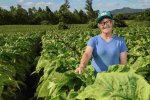 Marketing-no-campo