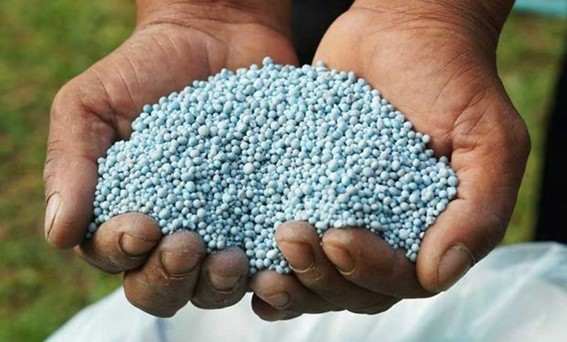 Oferta global apertada e avanço da demanda asiática sustentam cotações elevadas no mercado internacional. (Reprodução Internet)