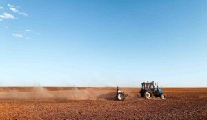 Produção deve superar 178 milhões de toneladas, mas clima, adubação e fertilizantes são decisivos para garantir produtividade e sustentabilidade no campo. (kateryna-ivanova / Crédito Unsplash)