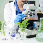 Essa abordagem garante padronização, rastreabilidade e conformidade com as normas regulatórias, como a Portaria Conjunta SDA/MAPA–IBAMA–ANVISA nº 1/2023. A aplicação da biologia molecular acelera o controle de qualidade dos bioinsumos, garantindo pureza, rastreabilidade e desempenho no campo. (Divulgação)