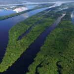 Estudo, liderado por pesquisadores da USP, revela que 74,5% da redução das chuvas e 16,5% do aumento das temperaturas na Amazônia são consequência direta do desmatamento. A pesquisa explica como a perda da floresta enfraquece os chamados rios voadores, correntes de vapor que irrigam boa parte do Brasil. (Reprodução / sp-amazon.org)