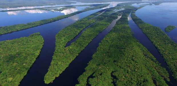 Estudo, liderado por pesquisadores da USP, revela que 74,5% da redução das chuvas e 16,5% do aumento das temperaturas na Amazônia são consequência direta do desmatamento. A pesquisa explica como a perda da floresta enfraquece os chamados rios voadores, correntes de vapor que irrigam boa parte do Brasil. (Reprodução / sp-amazon.org)