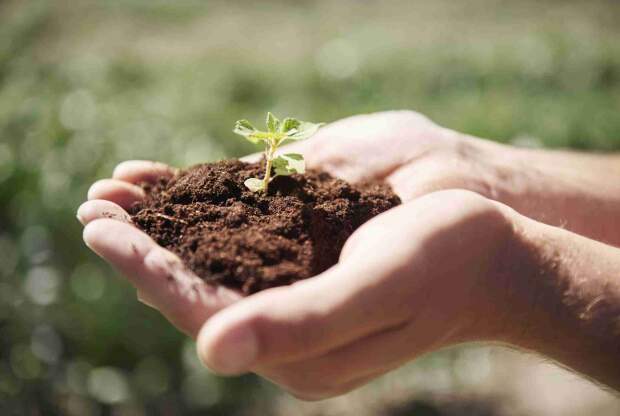 Com práticas que aliam produtividade, conservação do solo e redução de custos, a agricultura regenerativa ganha força no país e mostra que o caminho para um agro mais sustentável passa por soluções baseadas na natureza. (Reprodução/Freepik)