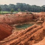 Para o presidente do Instituto Destino Brasil, a COP 30 aconteceu no lugar errado, no tempo errado e com o foco errado. O Brasil poderia ter mostrado ao mundo seu maior patrimônio, a natureza viva. (Foto: Ascom /SEMA)