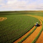 Boas práticas para agricultores que iniciam a semeadura de novembro e buscam alto desempenho. (Divulgação)