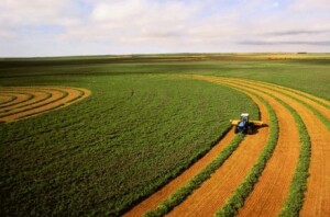 Boas práticas para agricultores que iniciam a semeadura de novembro e buscam alto desempenho. (Divulgação)
