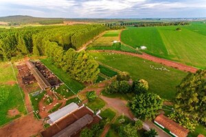 Estudo inédito aponta que o Estado de Goiás já compensa suas emissões florestais, destacando o papel do estado na agenda climática global (alcançou um balanço “carbono positivo” nas mudanças de uso da terra). (Divulgação)
