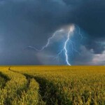 Levantamento mostra que percepção de risco climático aumenta e reforça alerta para políticas de apoio ao campo. Foto: (Reprodução AgroSmart)